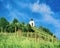 Vineyard on Piramida Hill and cityscape of Maribor, Lower Styria, Slovenia