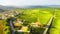Vineyard plantation grape wine field