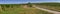 Vineyard plantation panoramic view
