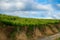 vineyard plantation on a sunny day, basque country spain. Way of Saint James, El Camino de Santiago