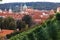 Vineyard of Prague
