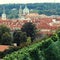 Vineyard of Prague