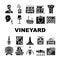 Vineyard Production Alcohol Drink Icons Set Vector