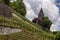 Vineyard in Rapperswil, Switzerland