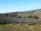 On a vineyard, reaching rows of grape bushes in perspective to the horizon