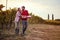 Vineyard with ripe grapes in countryside. Smiling man and woman harvesting grapes