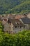 Vineyard of Riquewihr in Alsace