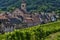 Vineyard of Riquewihr in Alsace