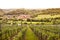 Vineyard on River Nahe, Germany