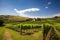 vineyard with rolling hills and blue sky, the ideal setting for a peaceful moment