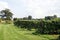 Vineyard with rows of grape vines on frames