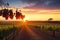 A vineyard with rows of grapevines in silhouette against a picturesque sunset.