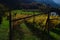 Vineyard rows with house in autumn Trentino fall season no people
