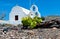 Vineyard at Santorini of Cyclades, Greece