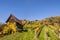 Vineyard on Schilcher wine route with traditional old hut and Kl