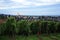 Vineyard in Schwarzwald