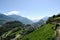 Vineyard in Sion, Valais, Switzerland