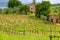 Vineyard with a small farmhouse in Montalcino, Val d`Orcia, Tusc