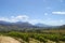 Vineyard - Stellenbosch - South Africa