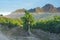 Vineyard at Stellenbosch winery with mountains