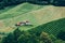 Vineyard in Styria