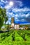 Vineyard on a sunny day Ruedelsheim, Hessen, Germany