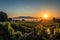 vineyard sunrise, with the sun rising over rows of vines and mountains in the distance