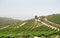 Vineyard Terrace at Judaean Mountains