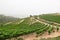 Vineyard Terrace at Judaean Mountains. Israel