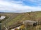 Vineyard, terraced hills near river Neckar