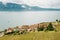 Vineyard terraces at Lake Geneva in spring, Lavaux