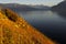 Vineyard terraces at Lake Leman