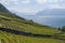 Vineyard terraces at Lavaux Lake Geneva