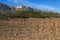 Vineyard Trellis in the Priorat