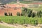 Vineyard in Tuscany hill