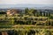 Vineyard villa in Tuscany Italy