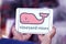 Vineyard Vines clothing brand logo