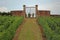 Vineyard and wall with gate