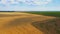 Vineyard and wheat field in the countryside. blue sky with white clouds above