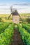 Vineyard and Windmill