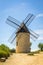 Vineyard and Windmill