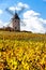 vineyard with windmill near Chenas, Beaujolais, Rhone-Alpes, Fra