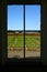 Vineyard through Window