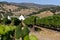 Vineyard and winery in the Napa Valley