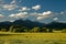 Vineyard, winery New Zealand, typical Marlborough landscape with vineyards and roads, hills and mountains