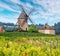 Vineyard or yard of vines and the eponymous windmill of famous french red wine at the background. Romaneche-Thorins, France