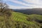 Vineyards above the foothills of Saratoga in Santa Cruz Mountains.