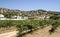 Vineyards of Alella