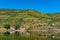 Vineyards alongside river douro in Portugal