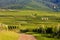 vineyards, Alsace, France